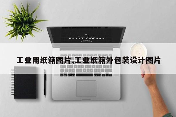 工业用纸箱图片,工业纸箱外包装设计图片